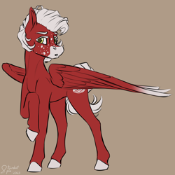 Size: 3600x3600 | Tagged: safe, artist:stardustspix, oc, oc only, oc:manumit to the aethers, pegasus, pony, colored wings, facial markings, freckles, golden eyes, gradient wings, high res, large wings, male, male oc, pegasus oc, raised hoof, red coat, solo, stallion, white mane, wings