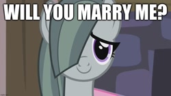 Size: 1280x720 | Tagged: safe, edit, edited screencap, screencap, marble pie, earth pony, pony, g4, bronybait, caption, cute, female, image macro, looking at you, marblebetes, mare, marriage proposal, smiling, solo, talking to viewer, text, this will end in marriage