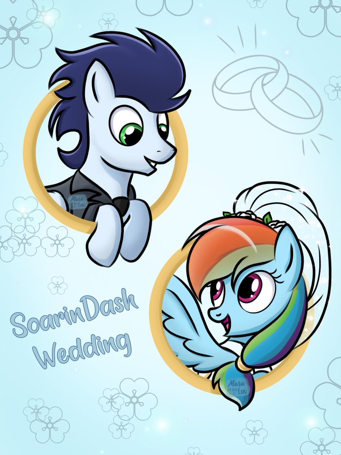 3152447 safe, artistmarakoru_luv, rainbow dash, soarin', pegasus