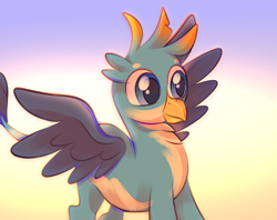 Size: 3800x3015 | Tagged: safe, artist:lanlanlc, derpibooru exclusive, gallus, griffon, g4, cute, gallabetes, gradient background, high res, male, solo, spread wings, sunlight, tail, wings