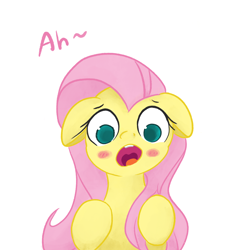 Size: 3000x3000 | Tagged: safe, artist:widelake, fluttershy, g4, blushing, female, high res, open mouth, simple background, solo, white background, worried