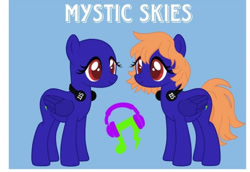 Size: 708x488 | Tagged: safe, oc, oc:mystic skies, pegasus, pony, reference sheet