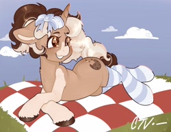 Size: 3300x2550 | Tagged: safe, artist:cartelevision, oc, oc only, oc:choco crunch, pony, unicorn, body markings, bow, chest fluff, clothes, cloud, ear fluff, grass, hair bow, high res, picnic blanket, ponytail, smiling, socks, solo, striped socks, unshorn fetlocks, wingding eyes