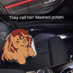 Size: 2098x2098 | Tagged: safe, artist:cardigansandcats, sunset shimmer, pony, unicorn, g4, car, car interior, chest fluff, cute, eyes closed, high res, photo, ponified animal photo, shimmerbetes, sitting, solo, text