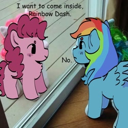 Size: 2098x2098 | Tagged: safe, artist:cardigansandcats, pinkie pie, rainbow dash, earth pony, pegasus, pony, g4, chest fluff, duo, frown, high res, iwtcird, meme, photo, ponified photo, smiling, subverted meme, text