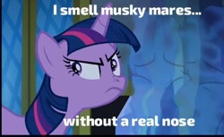 Size: 440x269 | Tagged: safe, edit, edited screencap, screencap, starlight glimmer, trixie, alicorn, changeling, pony, unicorn, g4, to where and back again, body odor, close-up, disguise, disguised changeling, duo, duo female, eyes closed, fake twilight, female, implied crotch smell, implied vaginal secretions, invisible, male, male sniffing female, mare, meme, musk, nose wrinkle, nostril flare, nostrils, scared, scent, smell, smelling, sniffing, transparent, twilight's castle