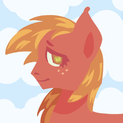 Size: 1280x1280 | Tagged: safe, artist:ghostbbee, big macintosh, earth pony, pony, g4, bust, cloud, freckles, portrait, profile, side view, smiling, solo