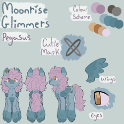 Size: 2000x2000 | Tagged: safe, artist:brynnstic, oc, oc only, oc:moonrise glimmers, pegasus, pony, high res, pegasus oc, reference sheet