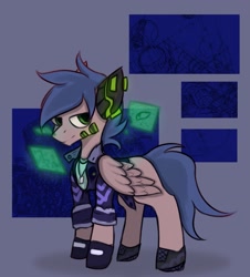 Size: 1901x2104 | Tagged: safe, artist:ashel_aras, oc, oc only, pegasus, pony, clothes, solo