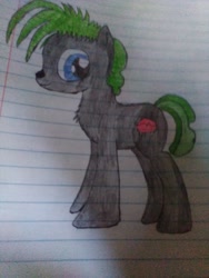 Size: 1944x2592 | Tagged: safe, artist:mysticskies3214, oc, oc only, wolf, wolf pony, lined paper, male, male oc, solo, traditional art