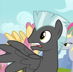 Size: 1084x1080 | Tagged: safe, screencap, derpy hooves, dizzy twister, orange swirl, thunderlane, pegasus, pony, g4, hurricane fluttershy, cropped, female, gasp, male, mare, open mouth, solo focus, spread wings, stallion, wings
