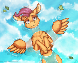 Size: 1800x1451 | Tagged: safe, artist:inuhoshi-to-darkpen, scootaloo, pegasus, pony, g4, cheek fluff, chest fluff, cloud, ear fluff, female, leaf, leaves, leg fluff, looking up, lying down, on back, partially submerged, reflection, sky, smiling, solo, spread wings, unshorn fetlocks, water, wing fluff, wings