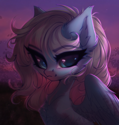 Size: 3331x3491 | Tagged: safe, artist:moonstarshining, oc, oc only, oc:vesperal breeze, pegasus, pony, bust, commission, ear fluff, female, high res, looking at you, mare, pegasus oc, solo, ych result