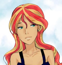 Size: 452x470 | Tagged: safe, artist:sugarcube269, sunset shimmer, human, equestria girls, g4, female, solo