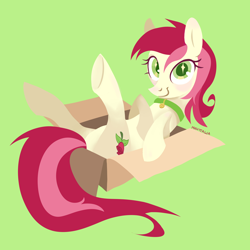 Size: 3508x3508 | Tagged: safe, artist:minttasha, roseluck, earth pony, pony, g4, behaving like a cat, blushing, box, collar, commission, commissioner:doom9454, cute, green background, high res, lime background, looking at you, pet tag, pony in a box, pony pet, rosepet, simple background, smiling, solo