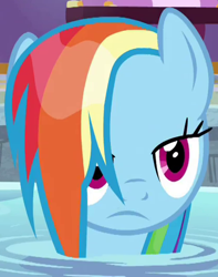 Size: 418x530 | Tagged: safe, screencap, rainbow dash, pegasus, pony, deep tissue memories, g4, spoiler:deep tissue memories, spoiler:mlp friendship is forever, cropped, eyebrows, female, frown, hair over one eye, hot tub, mare, multicolored mane, narrowed eyes, ponyville spa, rainbow dash is not amused, raised eyebrow, solo, unamused, water, wet, wet mane