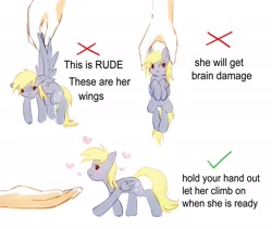 Size: 1939x1639 | Tagged: safe, artist:astralblues, derpy hooves, human, pegasus, pony, g4, chibi, cute, daaaaaaaaaaaw, derpabetes, hand, how to handle a pony, meme, ponified meme, simple background, solo, text, tiny, tiny ponies, weapons-grade cute, white background