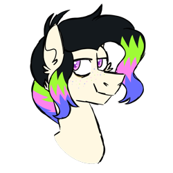 Size: 600x600 | Tagged: safe, artist:fuckomcfuck, oc, oc only, oc:acid, earth pony, pony, bags under eyes, freckles, simple background, solo, transparent background