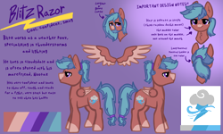 Size: 3644x2189 | Tagged: safe, artist:nootaz, oc, oc:blitz razorwind, high res, reference sheet