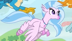 Size: 651x373 | Tagged: safe, screencap, gallus, ocellus, silverstream, smolder, changeling, classical hippogriff, hippogriff, g4, school daze, season 8, female, male
