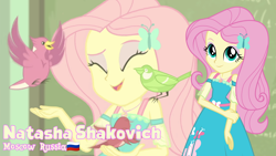 Size: 3410x1920 | Tagged: safe, artist:edy_january, artist:twilirity, edit, edited screencap, screencap, fluttershy, bird, human, equestria girls, g4, alternate name, eyes closed, female, fluttershy boho dress, geode of fauna, holding arms, looking at you, magical geodes, smiling, smiling at you, solo, vector used