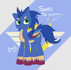 Size: 1680x1656 | Tagged: safe, artist:ismazhecat, pegasus, pony, male, ponified, sonic the hedgehog, sonic the hedgehog (series), stallion