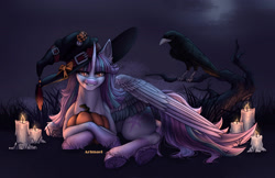 Size: 2381x1547 | Tagged: safe, artist:artmael sverr, oc, oc only, alicorn, bird, pony, raven (bird), alicorn oc, candle, crossed hooves, hat, horn, looking at you, pumpkin, raised tail, solo, tail, underhoof, wings