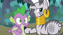 Size: 1920x1080 | Tagged: safe, screencap, spike, zecora, dragon, zebra, g4, molt down, season 8, 1080p, cute, duo, female, hoof on chest, male, spikabetes, winged spike, wings, zecorass