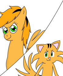 Size: 900x1095 | Tagged: safe, artist:tigerpegasus, oc, oc only, oc:tiger, pony, furry, simple background, solo, transparent background