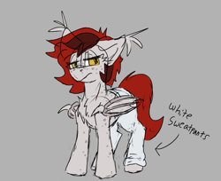 Size: 807x660 | Tagged: safe, artist:reddthebat, oc, oc only, oc:reddthebat, bat pony, pony, bat pony oc, clothes, female, freckles, frown, gray background, lidded eyes, mare, pants, simple background, solo, sweatpants
