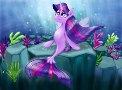 Size: 1191x880 | Tagged: safe, artist:jack107401, twilight sparkle, alicorn, mermaid, seapony (g4), g4, my little pony: the movie, belly, bubble, clothes, coral, crepuscular rays, digital art, dorsal fin, eyelashes, female, fin, fin wings, fins, fish tail, flowing mane, flowing tail, horn, looking up, ocean, purple eyes, rock, scales, seabed, seaponified, seapony twilight, seaweed, see-through, sitting, smiling, solo, species swap, spread wings, sunlight, tail, the little mermaid, twilight sparkle (alicorn), underwater, water, wings