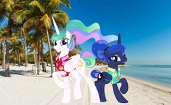 Size: 1139x702 | Tagged: safe, artist:jhayarr23, princess celestia, princess luna, alicorn, pony, between dark and dawn, g4, beach, clothes, duo, hair bun, hawaiian shirt, miami, palm tree, ponytail, real life background, shirt, tree