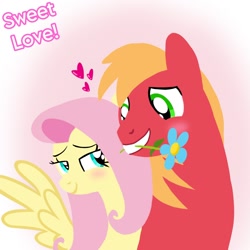 Size: 1400x1400 | Tagged: safe, artist:mlplary6, big macintosh, fluttershy, earth pony, pegasus, pony, g4, blushing, boyfriend and girlfriend, duo, female, flower, heart, looking at each other, looking at someone, love, male, mare, romantic, ship:fluttermac, shipping, smiling, smiling at each other, stallion, straight, text