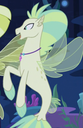 Size: 405x625 | Tagged: safe, screencap, aestuarium, ocean mist, seapony (g4), g4, surf and/or turf, background sea pony, bubble, coral, cropped, dorsal fin, female, fin, fin wings, fins, fish tail, jewelry, makeup, male, male focus, necklace, ocean, offscreen character, open mouth, open smile, scales, seaquestria, seaweed, smiling, solo focus, swimming, tail, tail fin, underwater, water, wings