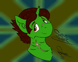 Size: 960x768 | Tagged: safe, artist:scoundrel scaramouche, oc, oc:servus liber, pony, unicorn, broken horn, horn, scar, scarred