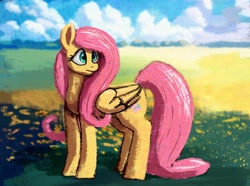 Size: 1790x1332 | Tagged: safe, artist:phutashi, fluttershy, pegasus, pony, g4, female, field, folded wings, looking away, mare, outdoors, solo, standing, turned head, wings