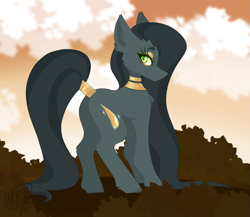 Size: 2019x1756 | Tagged: safe, artist:ezzerie, oc, oc:golden tears, earth pony, pony, art trade, choker, gold, jewelry, looking at you, looking back, looking back at you, solo, tail, tail wrap