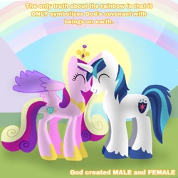 Size: 1400x1400 | Tagged: safe, artist:mlplary6, princess cadance, shining armor, alicorn, pony, unicorn, g4, ^^, background pony is pathetic, christianity, comments locked down, duckery in the description, duo, eyes closed, female, homophobia, male, mare, mouthpiece, op is a duck, op is trying to start shit, op is trying to start shit so badly that it's kinda funny, op started shit, rainbow, religion, ship:shiningcadance, shipping, stallion, straight, text