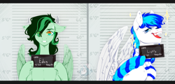 Size: 5416x2596 | Tagged: safe, artist:dreamyrat, oc, oc only, oc:eden shallowleaf, oc:lighty, pegasus, pony, barbie, barbie (film), barbie mugshot meme, blue eyes, blue mane, clothes, colored wings, commission, duo, duo male and female, female, floppy ears, green mane, holding sign, male, meme, mugshot, open mouth, open smile, pegasus oc, scarf, smiling, smirk, socks, stallion, text, two toned mane, two toned wings, wings, ych result