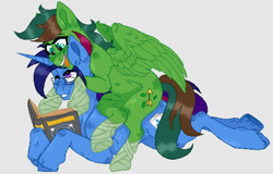 Size: 1500x960 | Tagged: safe, artist:kamokpushok, oc, oc only, oc:marquis majordome, oc:windy barebow evergreen, pegasus, pony, unicorn, book, commission, cute, duo, glasses, hoof wraps, reading, sitting on person, sitting on pony, wholesome, ych result