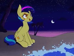 Size: 508x382 | Tagged: safe, artist:hauntedtuba, oc, oc only, pegasus, pony, animated, beach, crescent moon, female, looking up, loop, mare, moon, night, no sound, ocean, open mouth, open smile, shooting star, sitting, smiling, solo, water, wave, webm