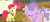 Size: 1385x597 | Tagged: safe, edit, edited screencap, editor:incredibubbleirishguy, screencap, apple bloom, diamond tiara, earth pony, pony, bloom & gloom, crusaders of the lost mark, g4, my little pony: friendship is magic, season 5, bloom butt, butt shake, cropped, diamond buttiara, flank, shaking, side by side