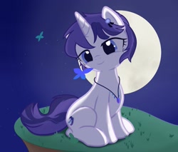 Size: 2343x2000 | Tagged: safe, artist:fuzzycyclone, oc, oc only, oc:starfall moonlight, butterfly, pony, unicorn, blue eyes, coiled mane, dreamy, grass, grass field, headwear, high res, jewelry, light skin, moon, necklace, night, sitting, solo