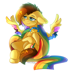 Size: 2060x2080 | Tagged: safe, artist:yuris, oc, oc only, oc:yuris, pegasus, pony, colored wings, flag, floppy ears, high res, lgbt, omnisexual, pride, pride flag, pride month, simple background, sitting, smiling, solo, spread wings, ukraine, white background, wings