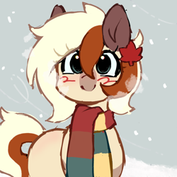 Size: 3000x3000 | Tagged: safe, artist:stablegrass, oc, oc only, oc:maple cookie, earth pony, pony, blushing, clothes, cute, female, hairclip, high res, leaf, looking at you, mare, markings, scarf, simple background, snow, snowfall, solo, striped scarf