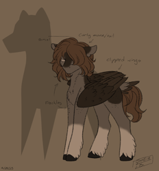 Size: 1546x1668 | Tagged: safe, artist:susiebees, oc, oc only, pegasus, pony, chest fluff, clipped wings, coat markings, socks (coat markings), solo, tail, tail feathers, wings