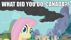 Size: 1136x640 | Tagged: safe, edit, edited screencap, screencap, fluttershy, pegasus, pony, dragonshy, g4, canada, caption, current events, image macro, meme, smoke, text, wildfire