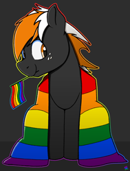 Size: 2134x2820 | Tagged: safe, artist:sefastpone, oc, oc only, oc:se, earth pony, pony, digital art, freckles, gay pride flag, high res, male, male oc, pride, pride flag, pride month, simple background, solo