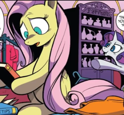 Size: 471x435 | Tagged: safe, artist:andy price, idw, fluttershy, rarity, g4, spoiler:comic64, book, clothes, long hair, long mane, pink hair, raised hoof, shelf