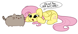 Size: 5113x2292 | Tagged: safe, artist:kittyrosie, fluttershy, cat, pegasus, pony, g4, cute, high res, open mouth, pusheen, shyabetes, simple background, so awesome, speech bubble, squishy cheeks, transparent background